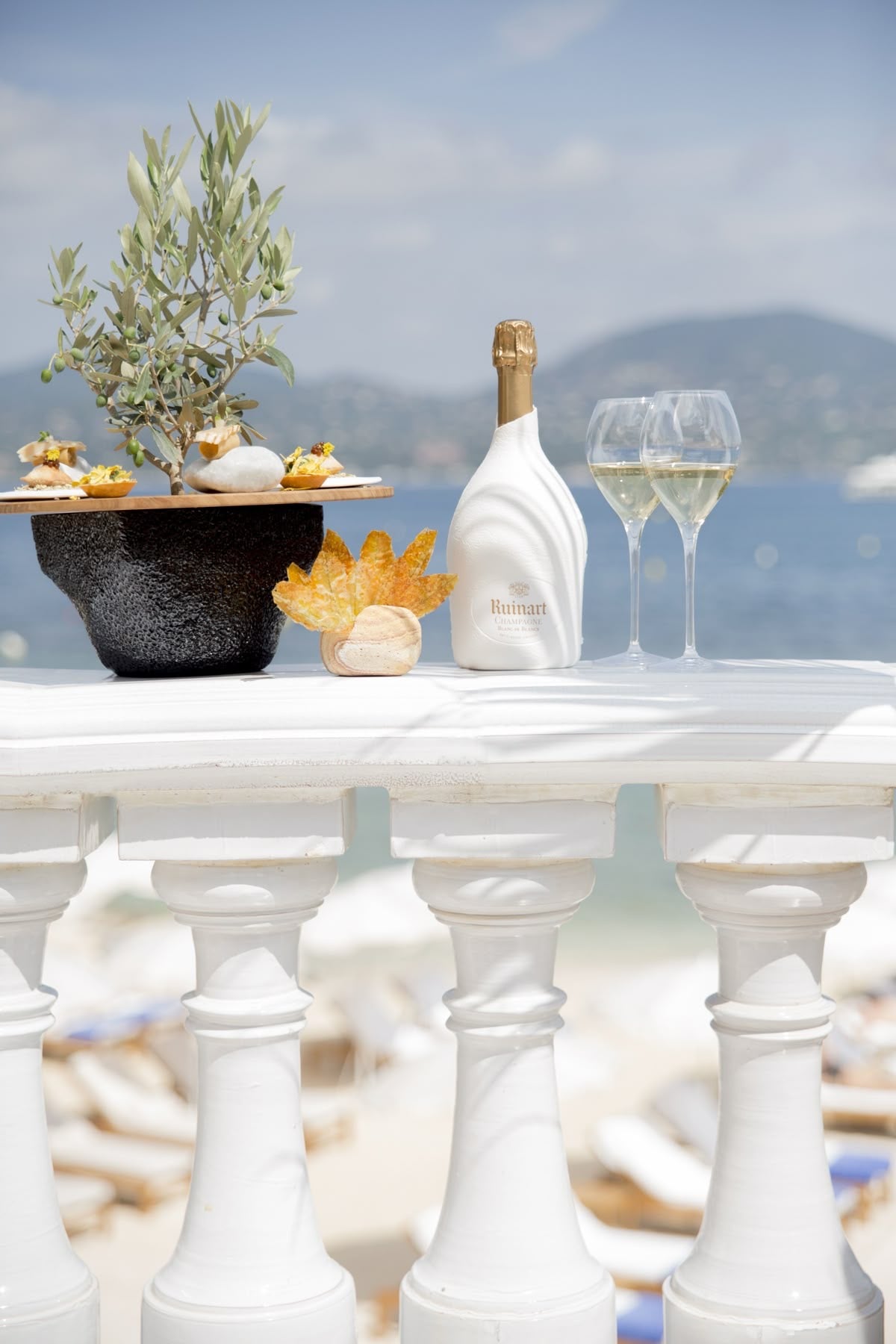 Vino/Champagne